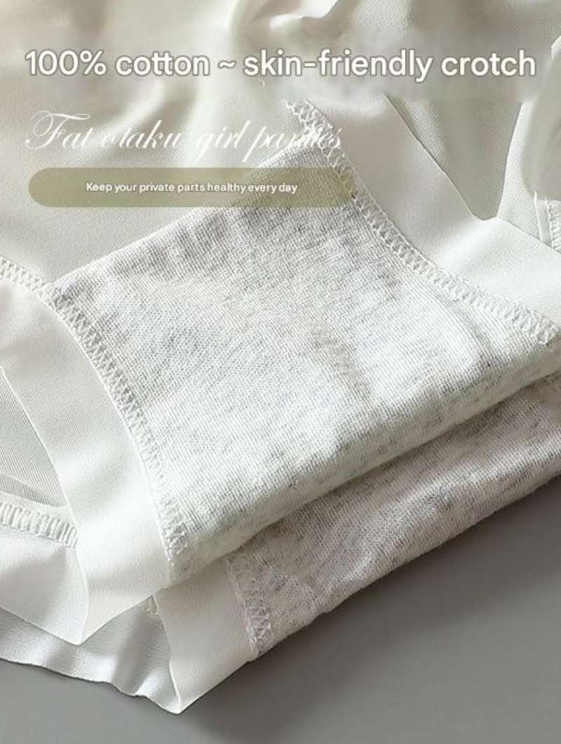 Skin-friendly Girl's Ice Silk Underwear Sweet and Comfortable Simple | Underwear for Women