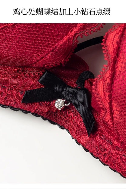 Red Lace Lingerie Set for Women – Sheer Two-Piece Bra & Panty Set