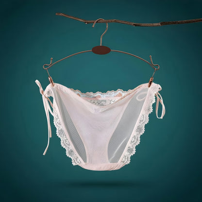 French Lace Embroidered Low-Waist Panties – Sexy High-Slit Mesh Briefs